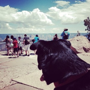 Penelope visits the Grand Canyon.