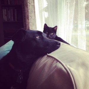 2014-11-26 09.33.20-1