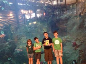 Cousins Aquarium