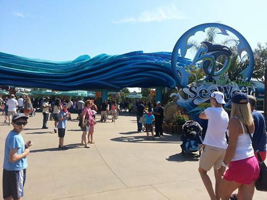SeaWorld 1