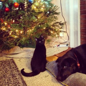 2014-12-21 08.26.33-1